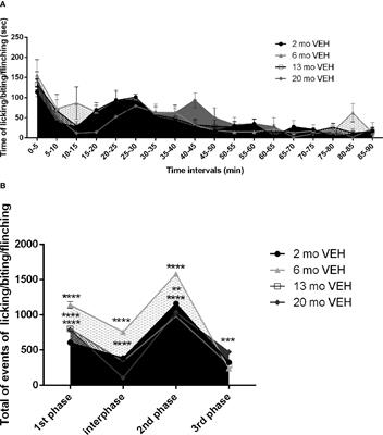 Effects of Aging on Formalin-Induced Pain Behavior and Analgesic Activity of Gabapentin in C57BL/6 Mice